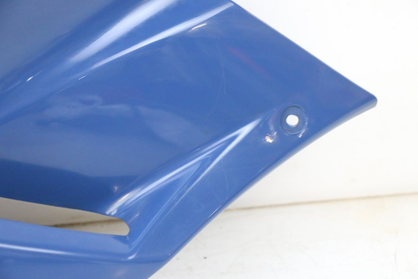 photo de LEFT FRONT SIDE PANEL YAMAHA TDM ABS 900 (2002 - 2014) - High-resolution close-up