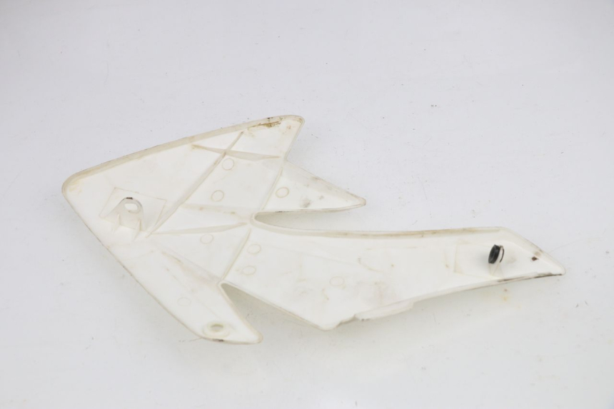 photo de LEFT FRONT FAIRING NITRO MOTORS THUNDER 125