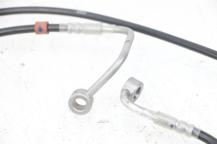 photo de REAR BRAKE HOSE ROYAL ENFIELD CONTINENTAL GT 650 (2019 - 2024)