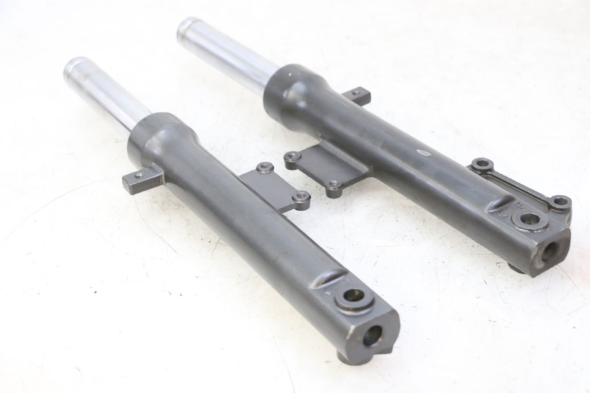 photo de FORKS LEG KYMCO AGILITY NAKED RENOUVO 2T 50 (2011 - 2018)