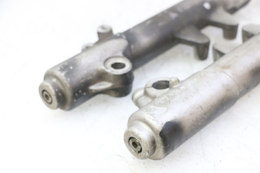 photo de FORKS LEG PEUGEOT ELYSTAR 50 (2002 - 2014)