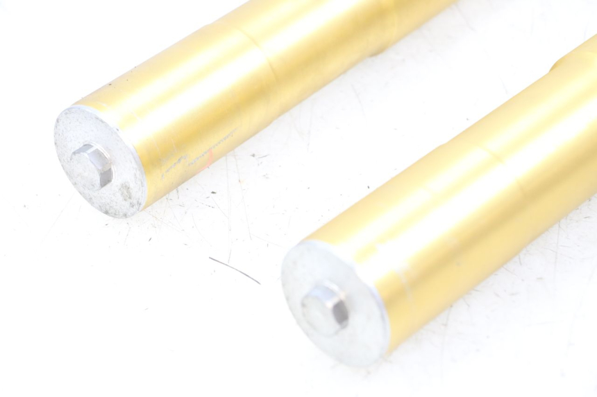 photo de FORKS LEG HYOSUNG GTR 125 (2006 - 2008)