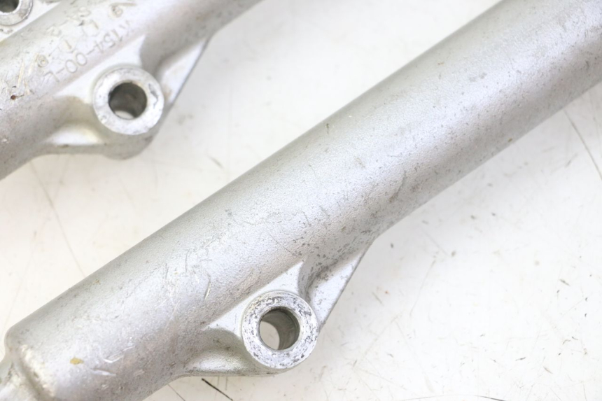 photo de FORKS LEG KAWASAKI KX 65 (2000 - 2019)