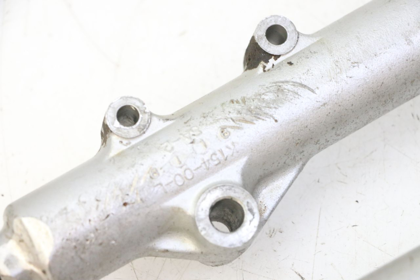 photo de FORKS LEG KAWASAKI KX 65 (2000 - 2019)