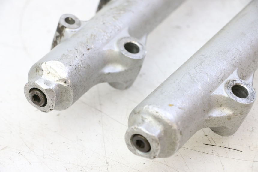 photo de FORKS LEG KAWASAKI KX 65 (2000 - 2019)