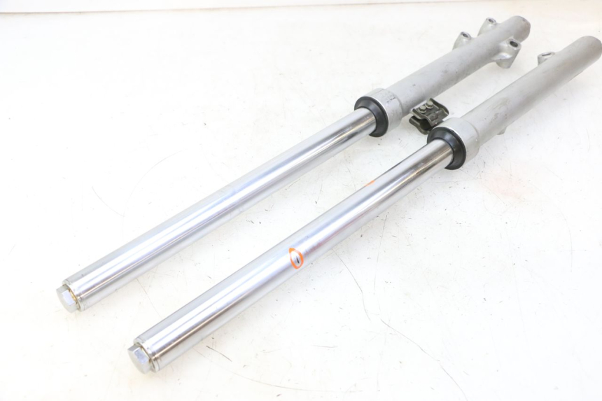 photo de FORKS LEG KAWASAKI KX 65 (2000 - 2019)