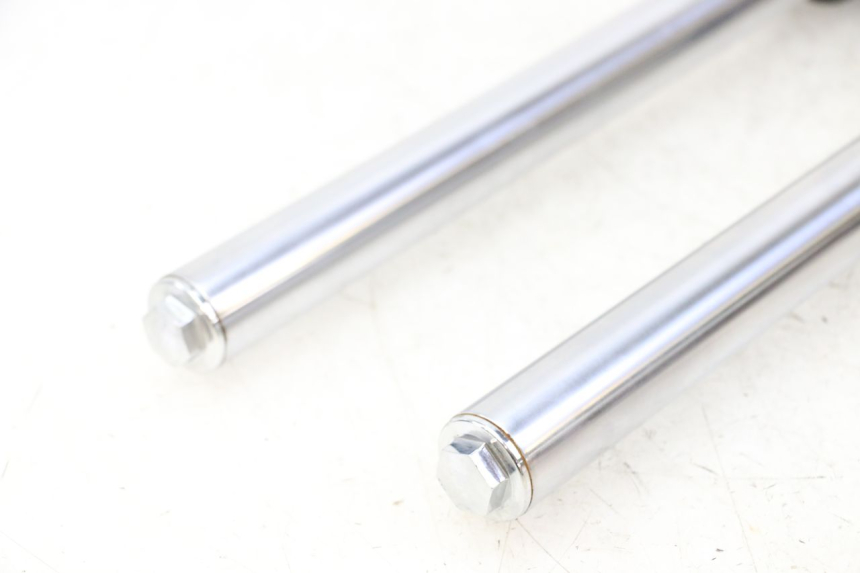 photo de FORKS LEG APOLLO RFZ 125