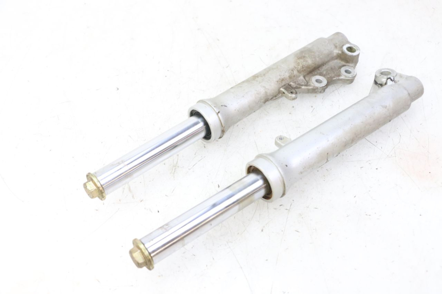 photo de FORK TUBE PGO RODOSHOW 2T 50 (2003 - 2007)
