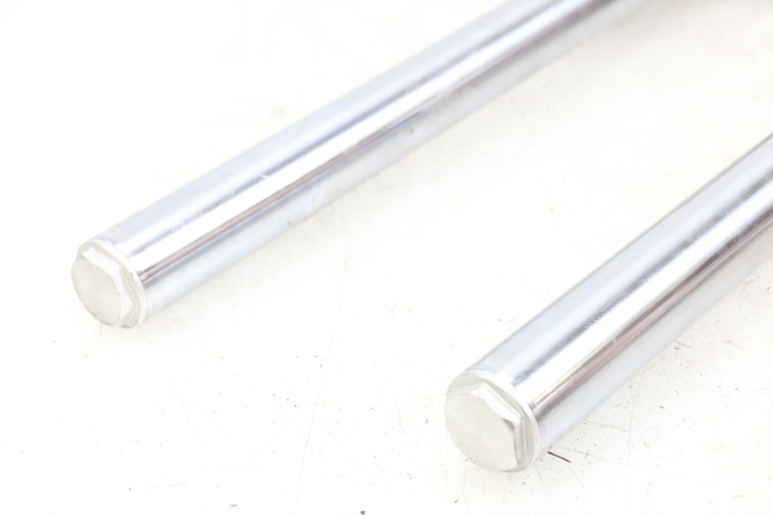 photo de FORKS LEG KYMCO XCITING 250 (2006 - 2009)