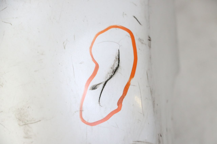 photo de FRONT MUDGUARD HONDA FES S-WING SWING ABS 125 (2007 - 2015)