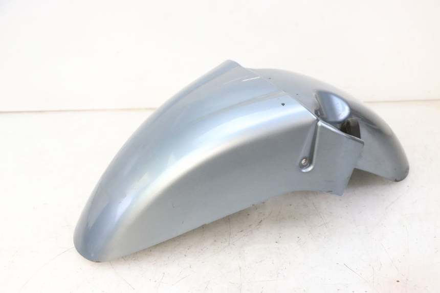 photo de FRONT FENDER DAELIM HISTORY 125 (2001 - 2002)