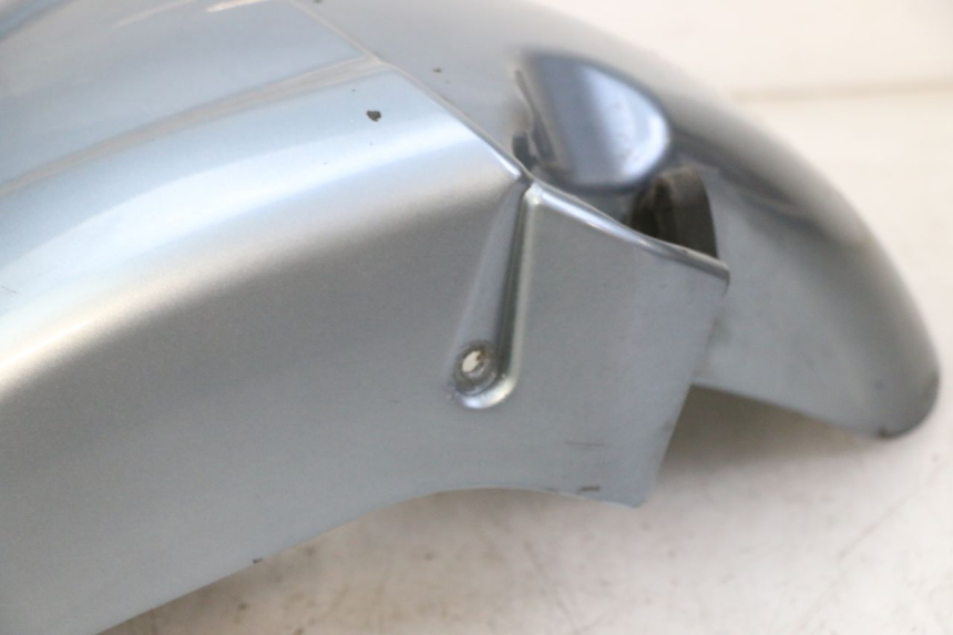 photo de FRONT FENDER DAELIM HISTORY 125 (2001 - 2002)