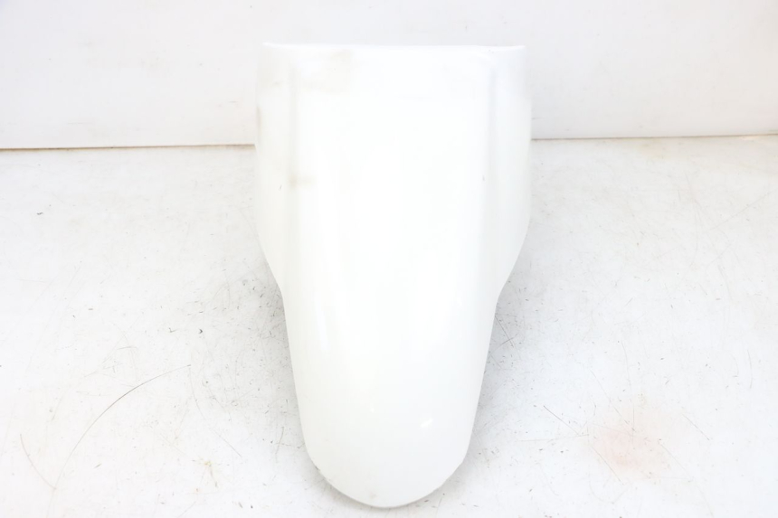 photo de FRONT FENDER PEUGEOT TWEET PRO EFI 4T 50 (2021 - 2022)