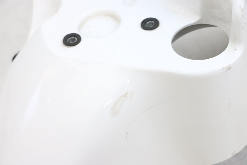 photo de FRONT FENDER PEUGEOT TWEET PRO EFI 4T 50 (2021 - 2022)