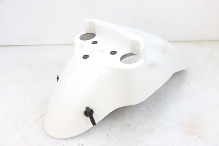 photo de FRONT FENDER PEUGEOT TWEET PRO EFI 4T 50 (2021 - 2022)