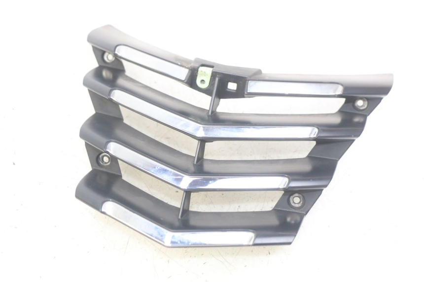 photo de RADIATOR GRILLE PEUGEOT CITYSTAR 125 (2011 - 2017)