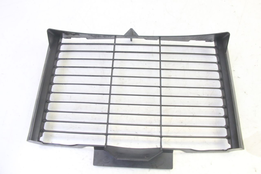 photo de RADIATOR COVER YAMAHA FZ6 N FAZER 600 (2004 - 2006)