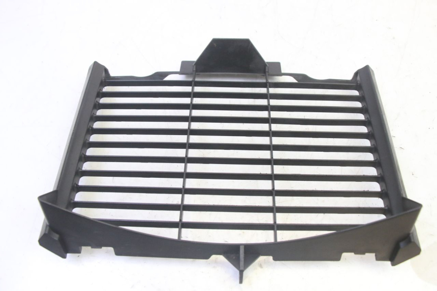 photo de RADIATOR COVER YAMAHA FZ6 N FAZER 600 (2004 - 2006)