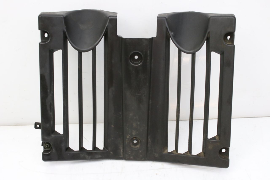 photo de RADIATOR GRILLE KEEWAY TX 50 (2008 - 2015)
