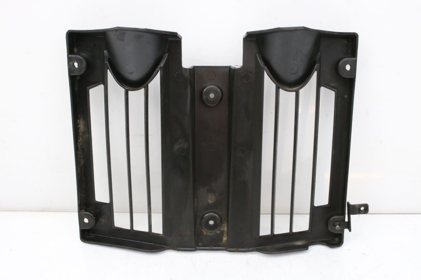 photo de RADIATOR GRILLE KEEWAY TX 50 (2008 - 2015)