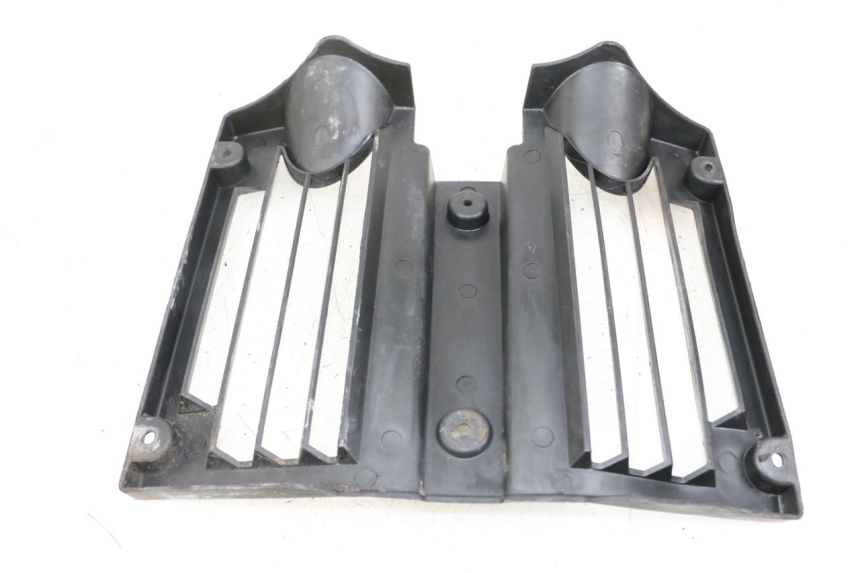 photo de RADIATOR GRILLE KEEWAY TX 50 (2008 - 2015)