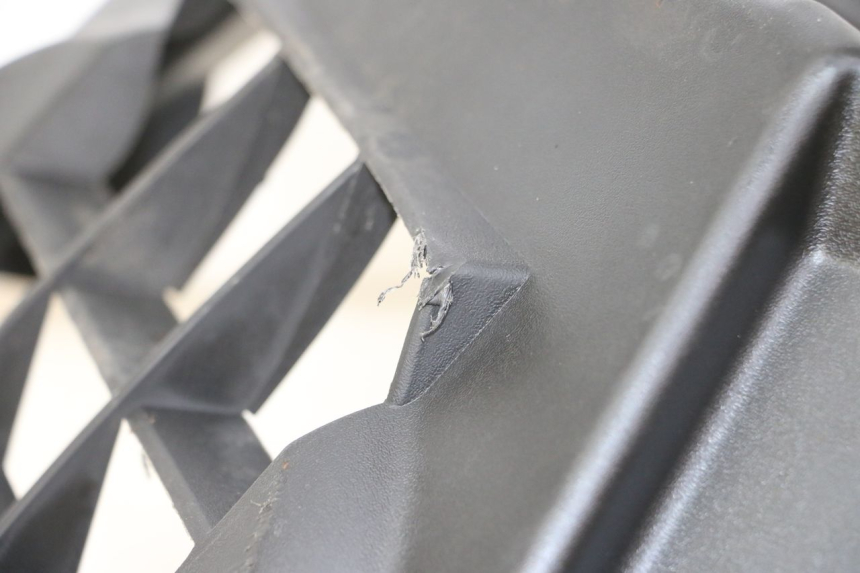 photo de RADIATOR COVER KYMCO XCITING 500 (2007 - 2010)