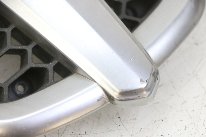 photo de RADIATOR COVER PIAGGIO MP3 LT 300 (2010 - 2016)