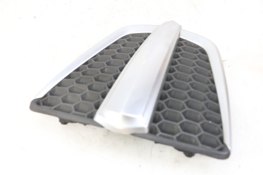 photo de RADIATOR COVER PIAGGIO MP3 LT 300 (2010 - 2016)