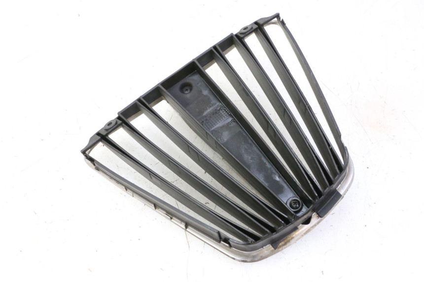 photo de RADIATOR COVER PIAGGIO MP3 LT 300 (2010 - 2016) - Alternative perspective