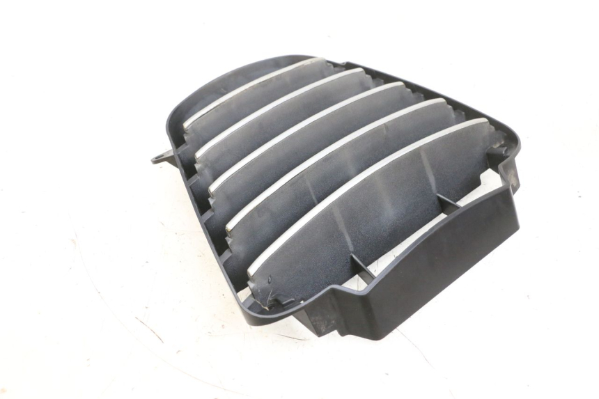 photo de RADIATOR GRILLE PIAGGIO MP3 LT 400 (2007 - 2012) - Product overview