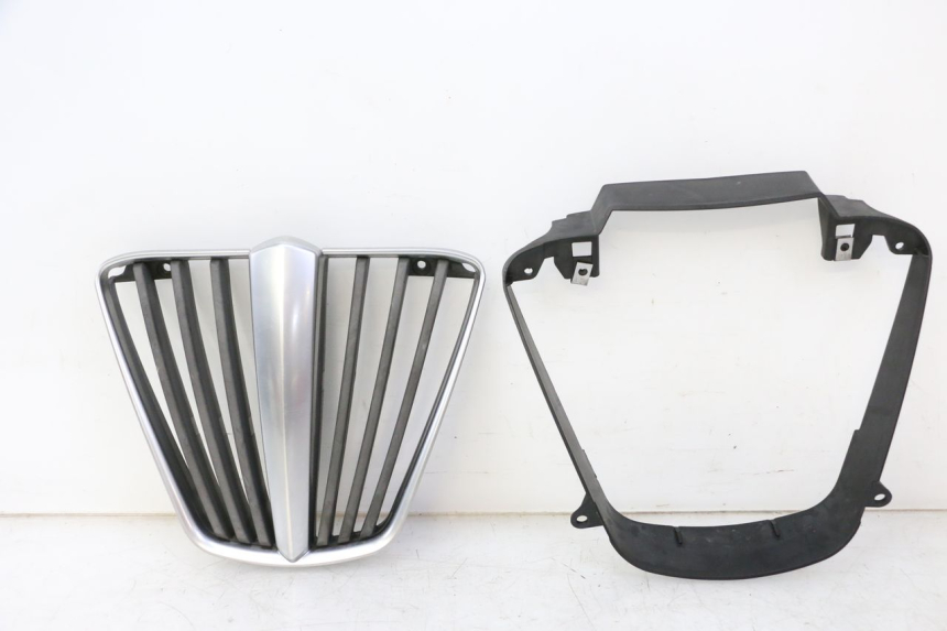 photo de RADIATOR COVER PIAGGIO MP3 RL 250 (2007 - 2010)