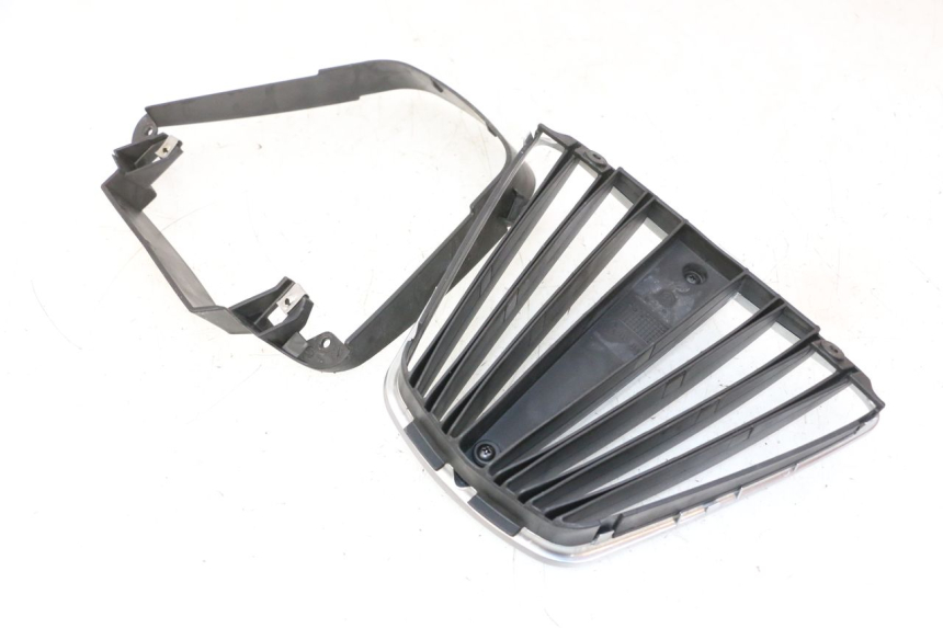 photo de RADIATOR COVER PIAGGIO MP3 RL 250 (2007 - 2010)