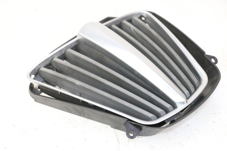 photo de RADIATOR COVER PIAGGIO MP3 RL 250 (2007 - 2010)