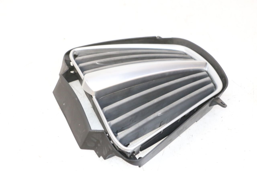 photo de RADIATOR COVER PIAGGIO MP3 RL 250 (2007 - 2010)