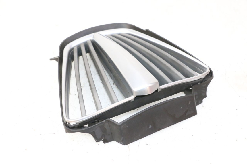photo de RADIATOR COVER PIAGGIO MP3 RL 250 (2007 - 2010)