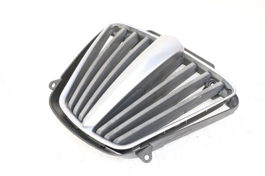 photo de RADIATOR COVER PIAGGIO MP3 RL 250 (2007 - 2010)
