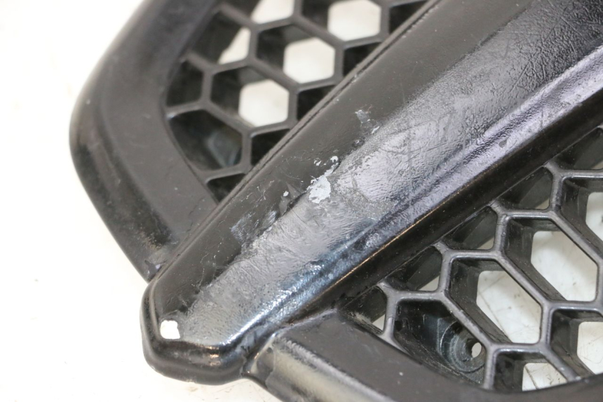 photo de RADIATOR COVER PIAGGIO MP3 500 (2011 - 2015)