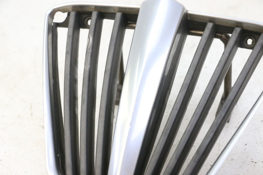 photo de RADIATOR COVER PIAGGIO MP3 RL 250 (2007 - 2010)