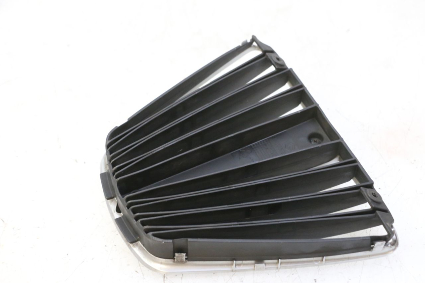 photo de RADIATOR COVER PIAGGIO MP3 RL 250 (2007 - 2010)
