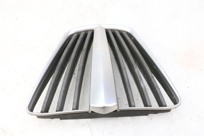 photo de RADIATOR COVER PIAGGIO MP3 RL 250 (2007 - 2010)