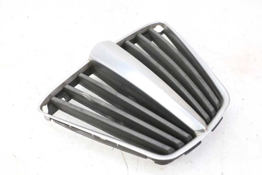 photo de RADIATOR COVER PIAGGIO MP3 RL 250 (2007 - 2010)
