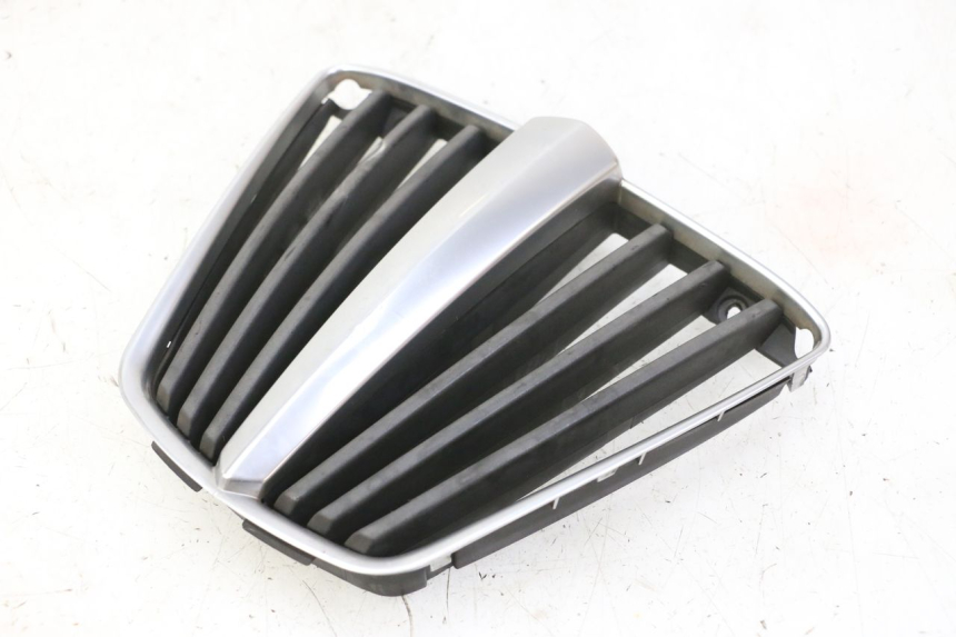 photo de RADIATOR COVER PIAGGIO MP3 RL 250 (2007 - 2010)