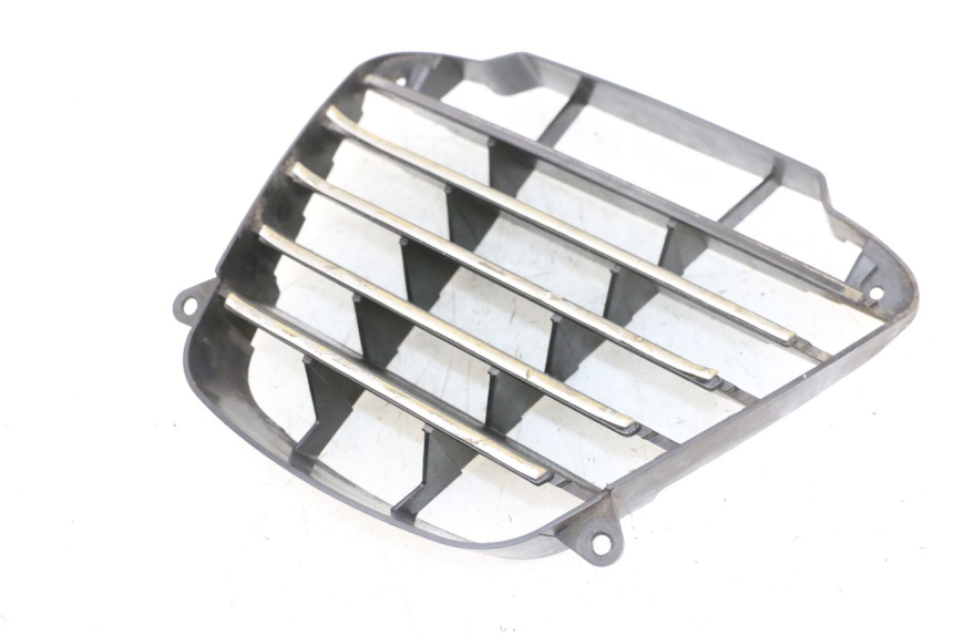 photo de RADIATOR GRILLE PIAGGIO MP3 125 (2006 - 2014)