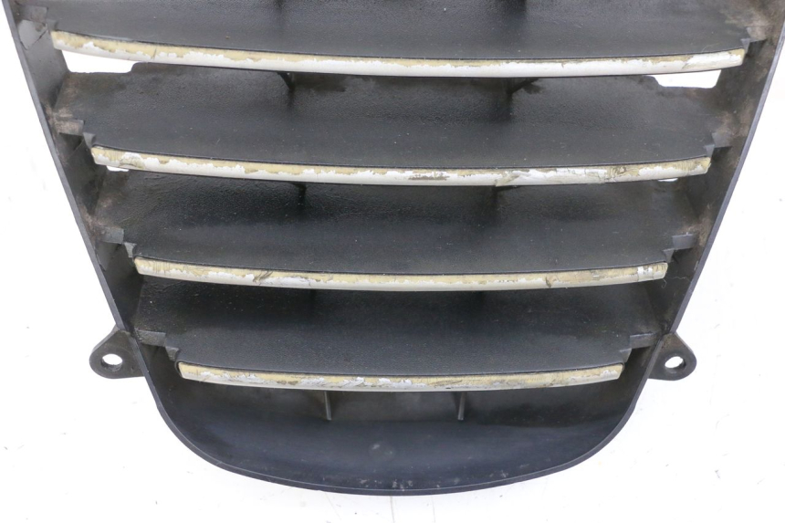 photo de RADIATOR GRILLE PIAGGIO MP3 125 (2006 - 2014)