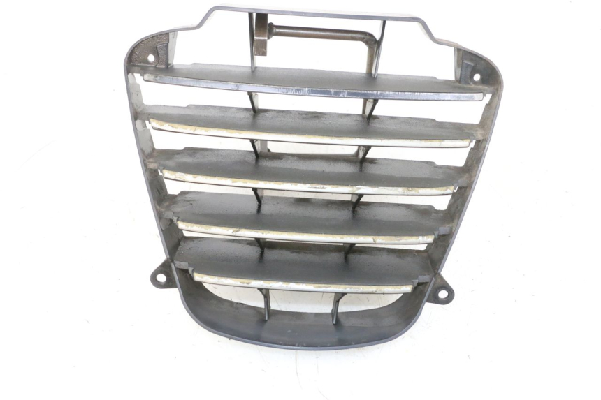 photo de RADIATOR GRILLE PIAGGIO MP3 125 (2006 - 2014)