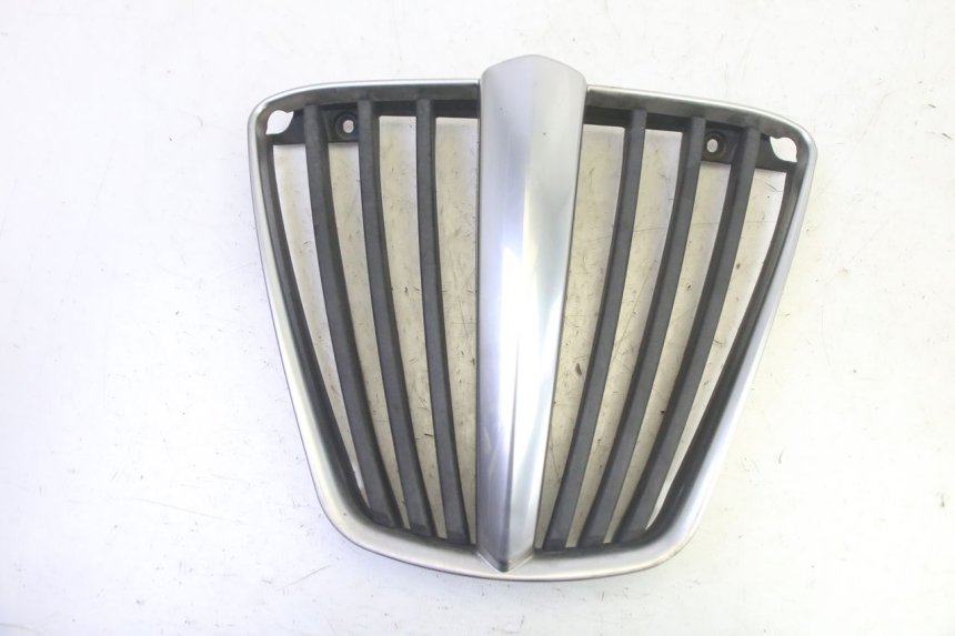 photo de RADIATOR COVER PIAGGIO MP3 RL 250 (2007 - 2010) - Main view