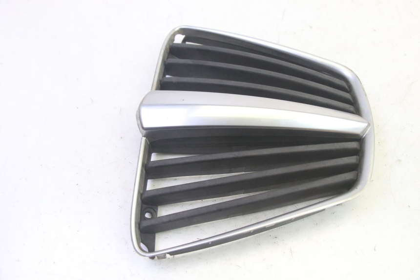 photo de RADIATOR COVER PIAGGIO MP3 RL 250 (2007 - 2010) - Component detail