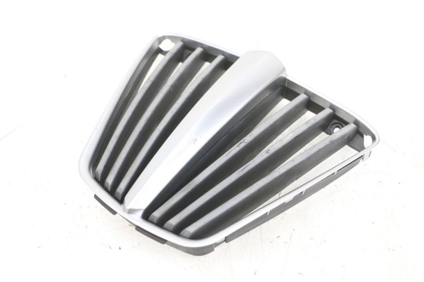 photo de RADIATOR COVER PIAGGIO MP3 RL 250 (2007 - 2010) - Main view