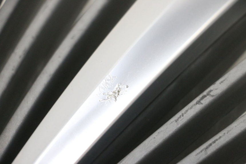 photo de RADIATOR COVER PIAGGIO MP3 RL 250 (2007 - 2010) - Product overview