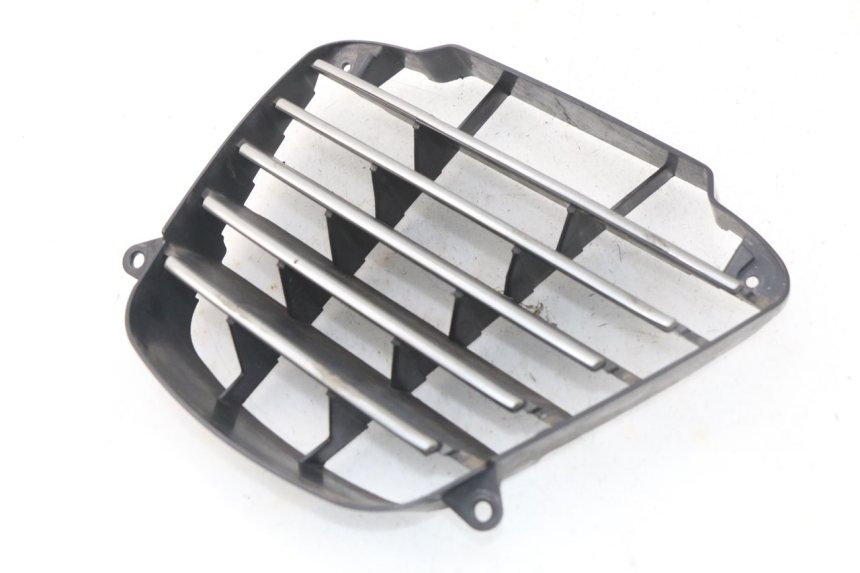 photo de RADIATOR GRILLE PIAGGIO MP3 125 (2006 - 2014)